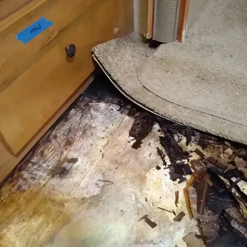 Wood Floor Water Damage in Tripoli, IA